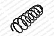 OEM FRT COIL SPRING 4095832