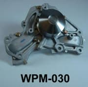 OEM WATER PUMP WPM030