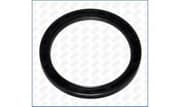 OEM SEAL RING 15040600