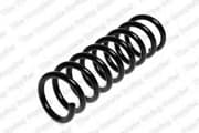 OEM COIL SPRING 4056835