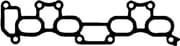 OEM INTAKE-EXHAUST GASKET 13096200