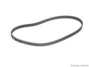 OEM BELT, V MD301833