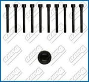 OEM CYLINDER HEAD BOLT SE 81030900