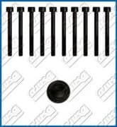 OEM CYLINDER HEAD BOLT SE 81015400