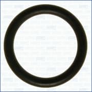 OEM GASKET RUBBER SEAL 16072500