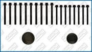 OEM CYLINDER HEAD BOLT SE 81021800