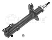 OEM SUSPENSION STRUT ASSEMBLY 1266230001