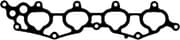 OEM INTAKE-EXHAUST GASKET 13097800