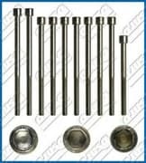 OEM CYLINDER HEAD BOLT SE 81006100