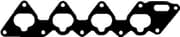 OEM INTAKE-EXHAUST GASKET 13089100