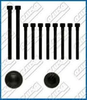 OEM CYLINDER HEAD BOLT SE 81020800