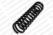 OEM COIL SPRING 4056803