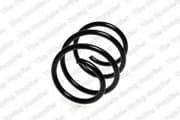 OEM COIL SPRING 4058702