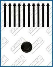 OEM CYLINDER HEAD BOLT SE 81008600