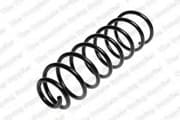 OEM COIL SPRING 4277812