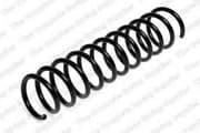 OEM COIL SPRING 4295823