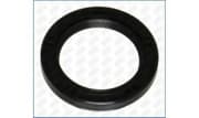 OEM SEAL RING 15058600