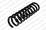 OEM COIL SPRING 4056826