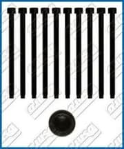 OEM CYLINDER HEAD BOLT SE 81028800