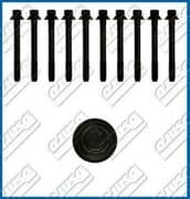 OEM CYLINDER HEAD BOLT SE 81024100