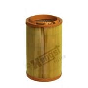 OEM FILTER ASSY, AIR ELEMENT E429L