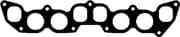 OEM INTAKE-EXHAUST GASKET 13052100