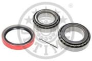 OEM BEARING, HUB 201262