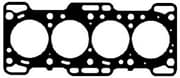 OEM GASKET, GRAPHITE 567206