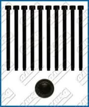 OEM CYLINDER HEAD BOLT SE 81026000