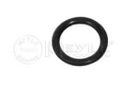 OEM GASKET RUBBER SEAL 1001210095