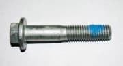 OEM BOLT, METAL 1382597