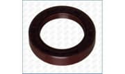 OEM SEAL RING 15010800