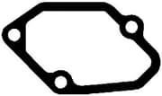 OEM GASKET, INTAKE MANIFOLD 756830