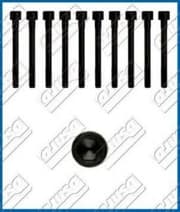 OEM CYLINDER HEAD BOLT SE 81002600