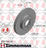 OEM BRAKE ROTOR 250134620