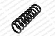 OEM COIL SPRING 4256855