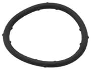 OEM GASKET, RUBBER 828963