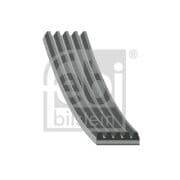 OEM V-RIBBED BELT 28884