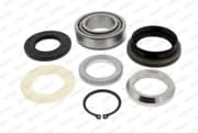 OEM BEARING, HUB NIWB12765