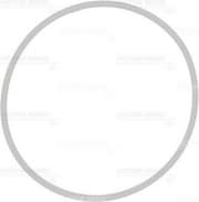 OEM GASKET RUBBER SEAL 713940900