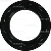 OEM SEAL RING 813853300