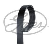 OEM BELT, V 6PK1808XS