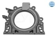 OEM SEAL RING 1001031006