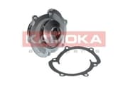 OEM WATER PUMP ASSY T0008