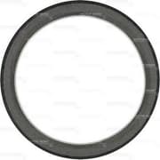 OEM SEAL RING 813619700