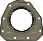 OEM SEAL RING 819008100