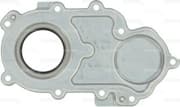 OEM SEAL KIT, CRANKSHAFT 819003600