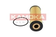 OEM OIL FILTER F100601