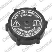 OEM CAP, RADIATOR RC0194