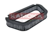 OEM FILTER ASSY, CABIN AIR F503201